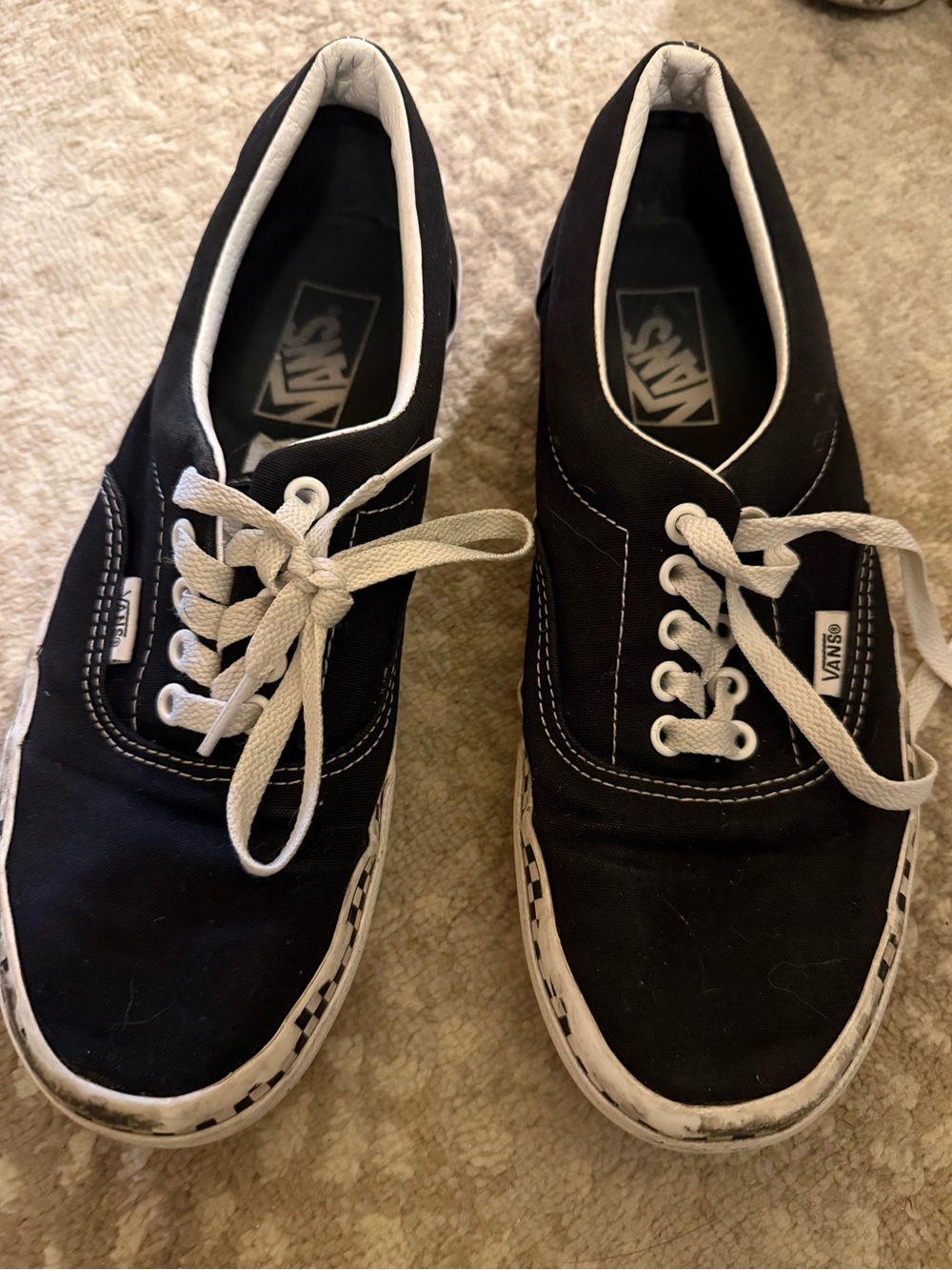 Vans Black Canvas Low-Top Sneakers with White Laces